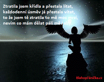 Ztratila jsem křídla