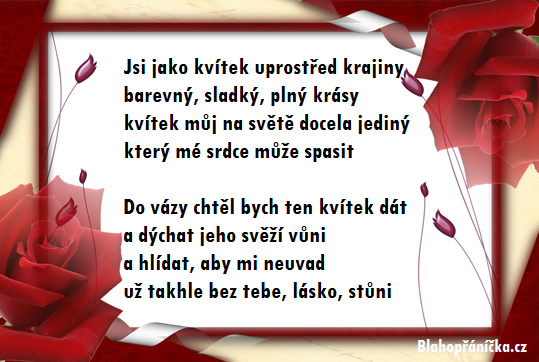 Kvítek