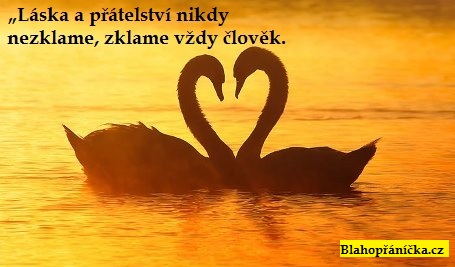 Láska a přátelství nikdy nezklame