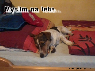 Myslím jen na tebe