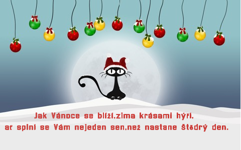 Vánoční kočička